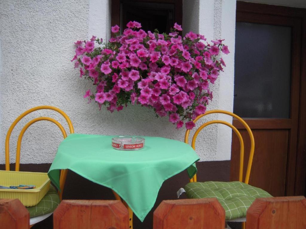 Apartmaji In Sobe Cuder Soča Kültér fotó